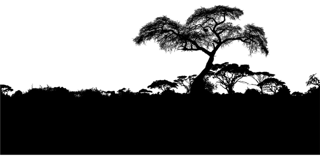 logoAFRICINNOV_