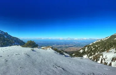 PNV-ECOLIA